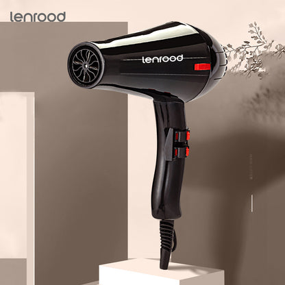 Professional Hair Dryer Ion Hairdryer LR-1258