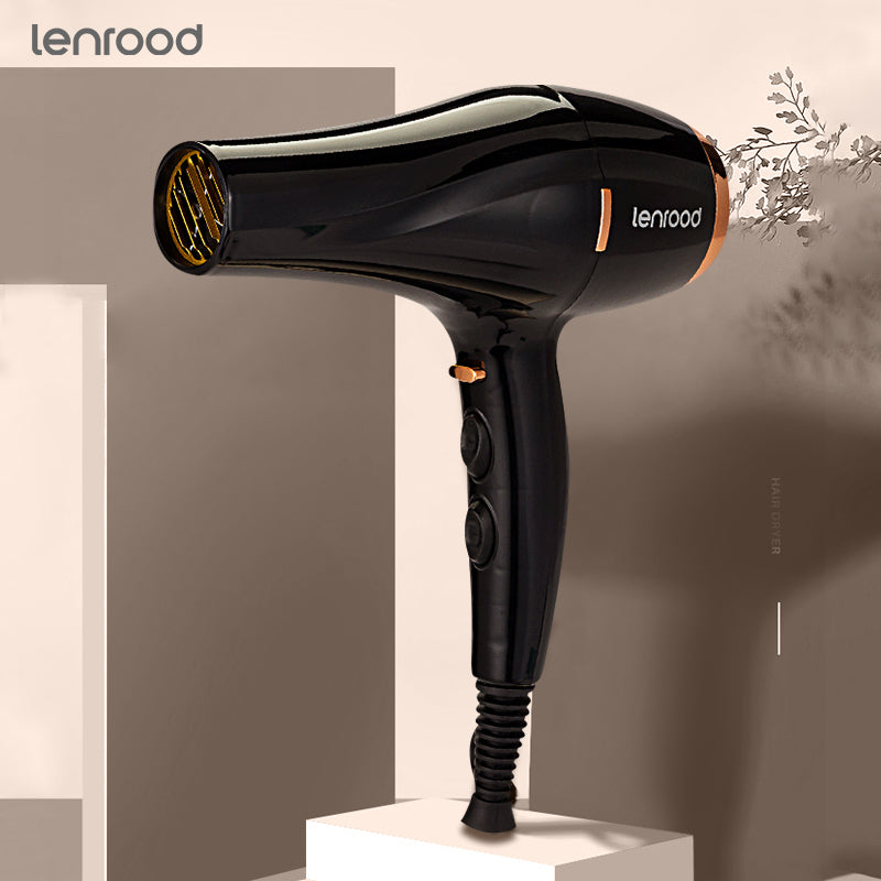 Professional Hair Dryer Hairdryer LR-6880