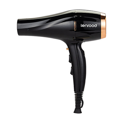 Professional Hair Dryer Hairdryer LR-6880