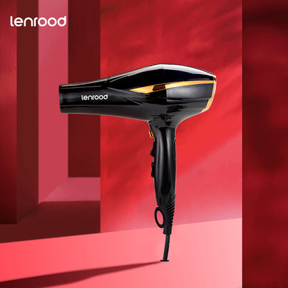 Professional Hair Dryer Hairdryer LR-8510