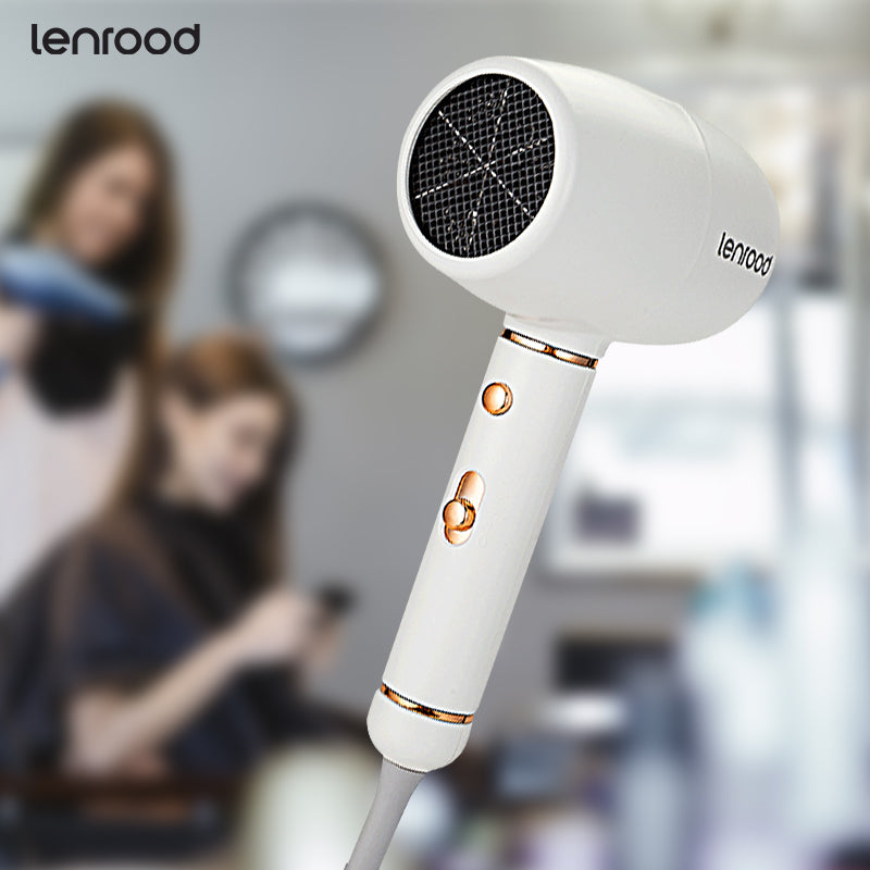 Hair Dryer Professional Hairdryer LR-3391